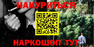 прущие грибы Гатчина