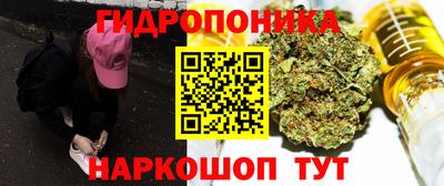 прущие грибы Гатчина