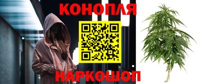 прущие грибы Гатчина