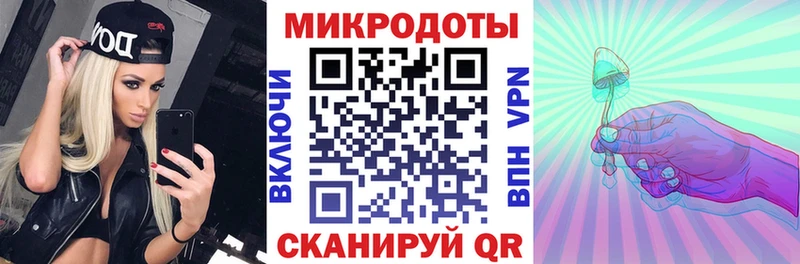 Псилоцибиновые грибы Cubensis  Кириши 