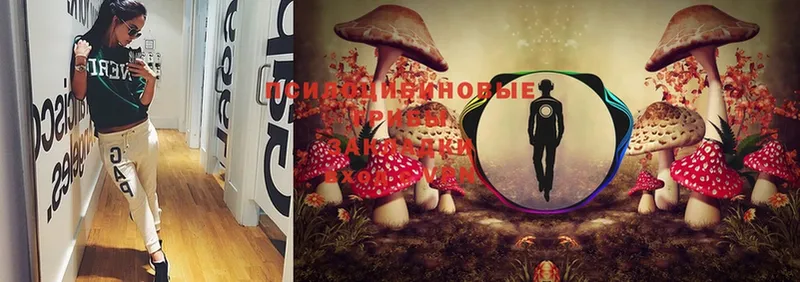 Галлюциногенные грибы MAGIC MUSHROOMS  купить   Кириши 