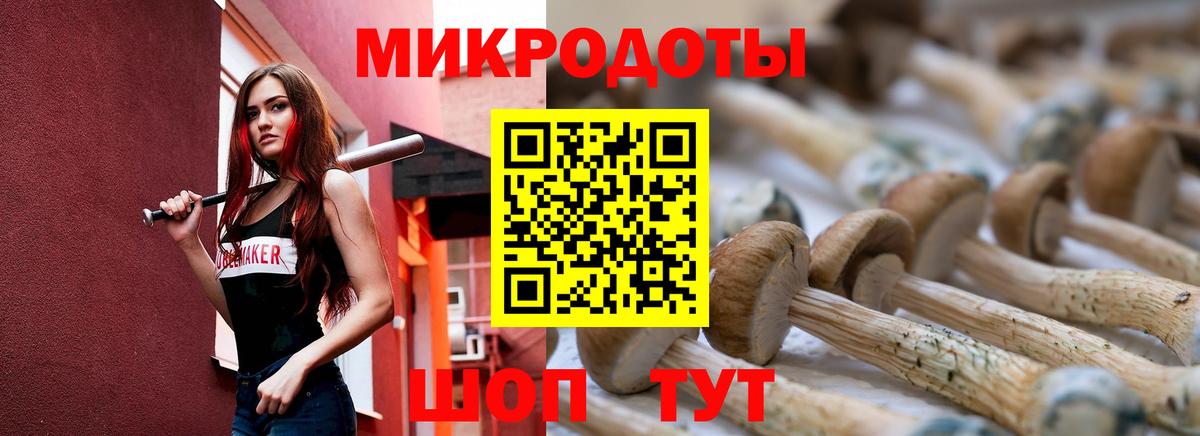 Псилоцибиновые грибы прущие грибы Кириши